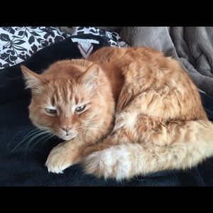 Meet your Posher, Devyn