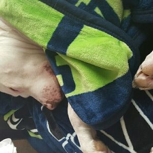 Meet your Posher, Mary