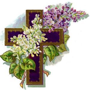 Meet your Posher, Paulette