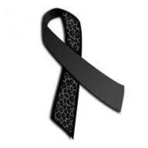 Meet your Posher, Jacqui