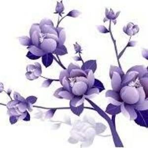 Meet your Posher, Belen