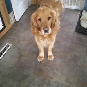 Meet your Posher, Sandy