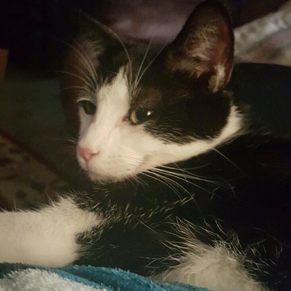 Meet your Posher, Sherree - Picture 1 of 1