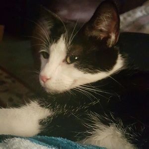 Meet your Posher, Sherree