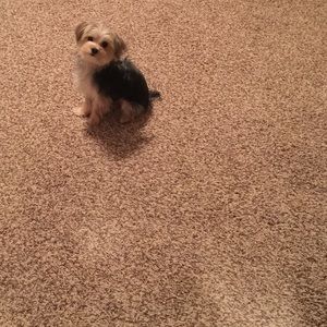 Meet your Posher, Belma