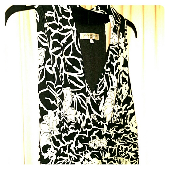 Elegant Evan picone dress