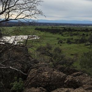 Meet your Posher, Jane