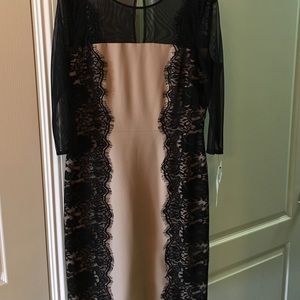 Black and Tan dress with lace