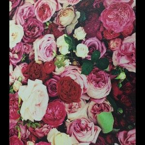 Meet your Posher, Gracie