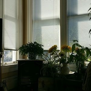 Meet your Posher, Holly