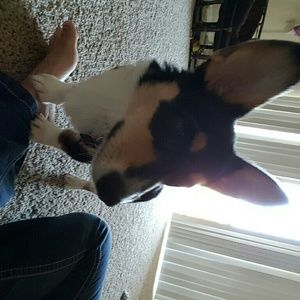 Meet your Posher, Miranda