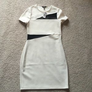 Express Short Sleeve Dress