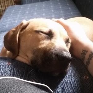 Meet your Posher, Vanessa