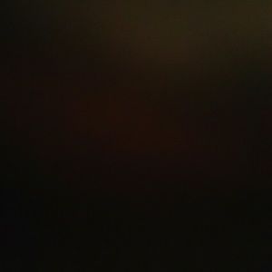 Meet your Posher, Audrey