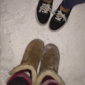 Meet your Posher, Abby