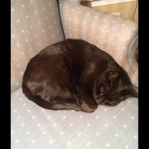 Meet your Posher, Michele