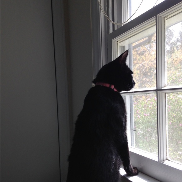 Meet your Posher - Picture 4 of 4