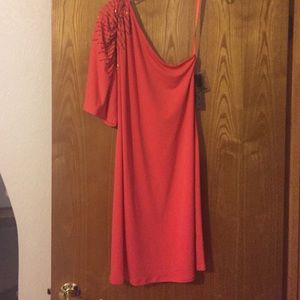 Brand Stunning dress