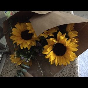 Meet your Posher, Erica