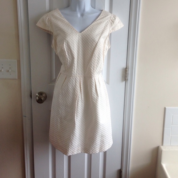 BNWT, size  14, size 16 dress
