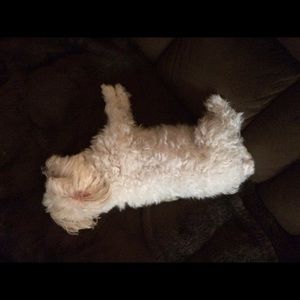 Meet your Posher, Happy