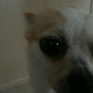 Meet your Posher, Matt