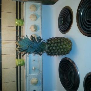 Meet your Posher, Candace