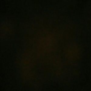 Meet your Posher, Lash