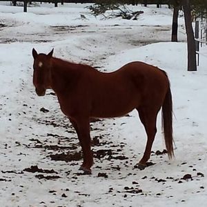 Meet your Posher, Teri