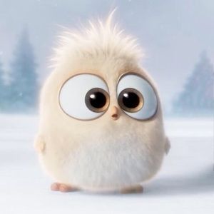 Meet your Posher, Emmie