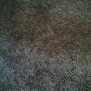 Meet your Posher, Nova