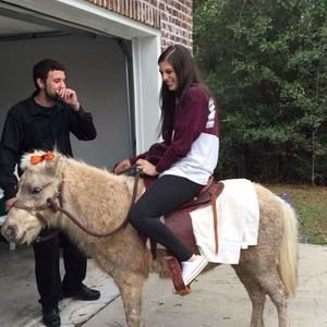 Meet your Posher, Bailey