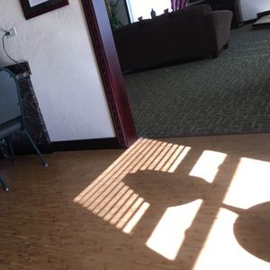 Meet your Posher, Fabiola