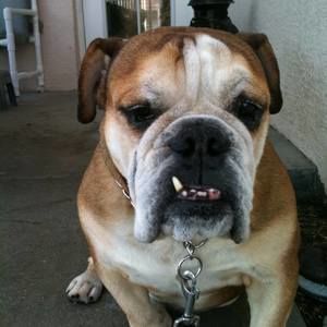 Meet your Posher, Deanna