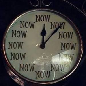 Meet your Posher, Judy