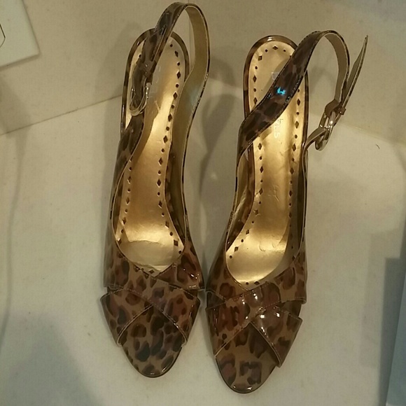 BCBG TIGER HILLS