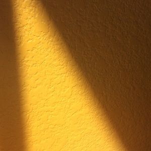 Meet your Posher, Vivian