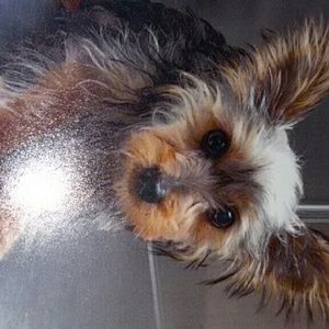 Meet your Posher, Debbie