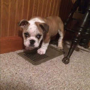 Meet your Posher, Kate