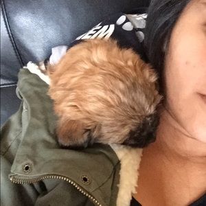 Meet your Posher, Sharon