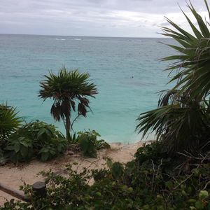 Meet your Posher, Alfonso