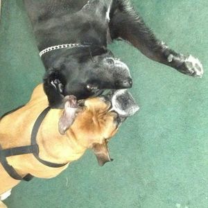 Meet your Posher, Candace