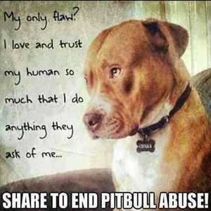 Meet your Posher, Vickie