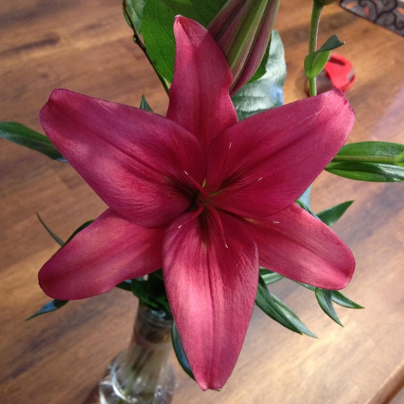 Meet your Posher, Tracey - Picture 1 of 1