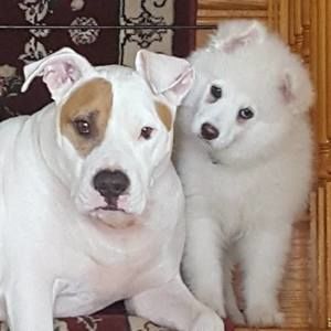 Meet your Posher, Diane