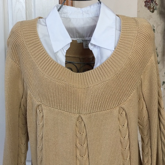 Camel Scope Neck Sweater - Picture 2 of 4