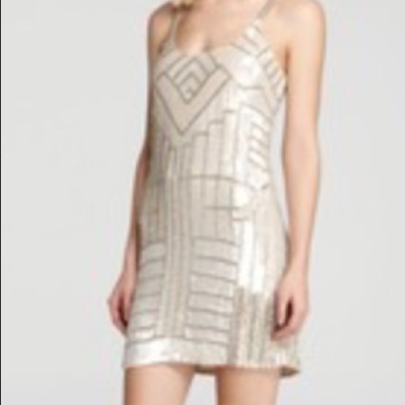 Gorgeous Parker beaded dress! Worn once