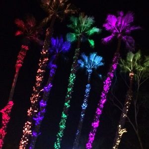 Meet your Posher, Tabitha