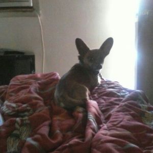 Meet your Posher, Hernan