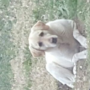 Meet your Posher, Alicia